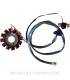 Stator SGR 12 Polos con pick-up 2 cables(Motor Yamaha 50 2T Euro 2)