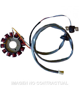 Stator SGR 12 Polos con pick-up 2 cables(Motor Yamaha 50 2T Euro 2)