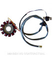 Stator SGR 12 Polos con pick-up 2 cables(Motor Yamaha 50 2T Euro 2)