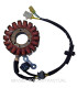 Stator SGR Trifase 18 Polos con pick-up 2 cables