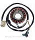 Stator SGR Trifase 18 polos Yamaha T-Max 530