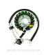 Stator SGR Trifase 18 polos con pick-up 2 cables Xcity