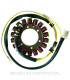Stator Saprisa Trifase 18 Polos 12V 40A Aixam