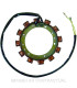 Stator Saprisa 12 Polos 12V- 18A/24A/30A