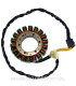 Stator SGR Trifase 18 polos Honda CBR 929 RR Fireblade