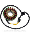 Stator SGR Trifase 18 polos Honda CBR 1100XX Super Blackbird