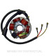 Stator SGR 6 Polos Piaggio Ape FL3 con base