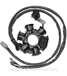 Stator SGR 6 Polos 12V 90W (Motor Piaggio 50 2T)