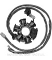 Stator SGR 6 Polos 12V 90W (Motor Piaggio 50 2T)