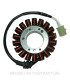 Stator SGR Yamaha YZF-R1 1000 (98/01)