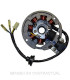 Stator SGR 7 Polos 12V 95W