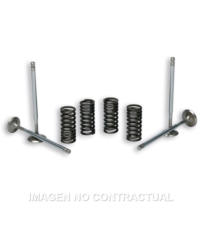 Válvulas t Stroke Malossi C/ Muelles Motor Piaggio Leader
