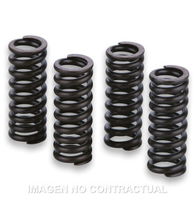 Muelles Para Válvulas Motor Gilera Runner VXR 200