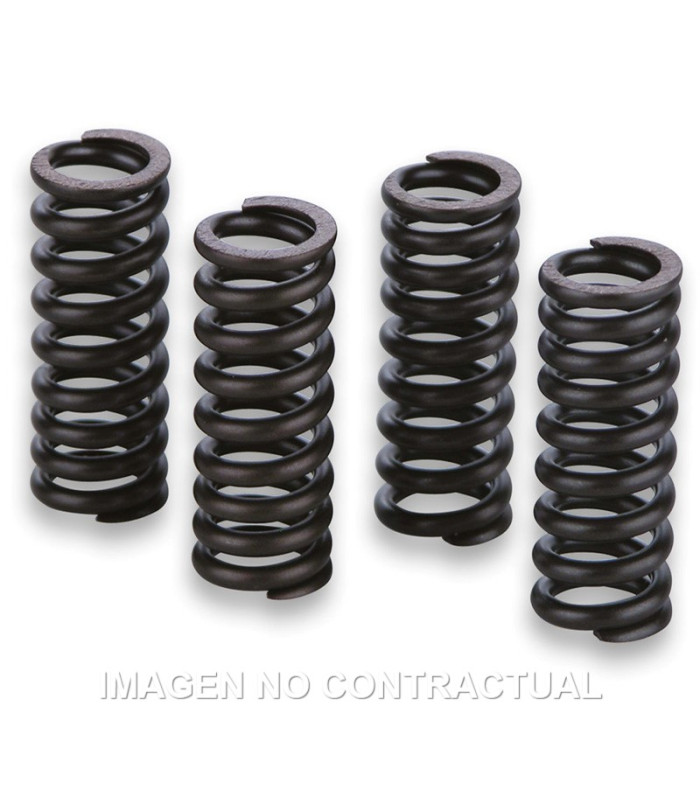 Muelles Para Válvulas Motor Gilera Runner VXR 200