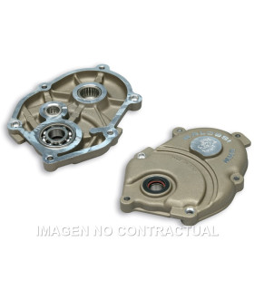 Tapa Cubredesmultiplicador Malossi Motor Minarelli