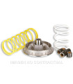 Variador Malossi Multivar 2000 Foresight 250