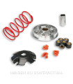 Variador Malossi Multivar Yamaha D´Elight 115