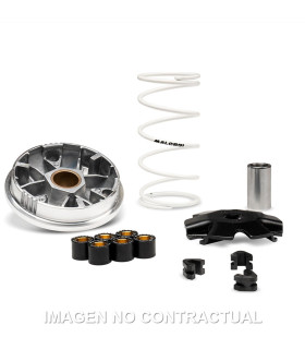 Variador Malossi Multivar RIEJU BYE BIKE ONE