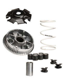 Variador Malossi Multivar SYM JET X 125 IE E5