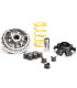 Variador Malossi Multivar SYM Joymax Z+ 300 IE E5