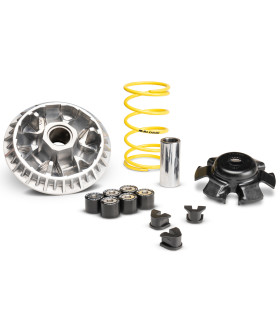 Variador Malossi Multivar SYM Joymax Z+ 300 IE E5