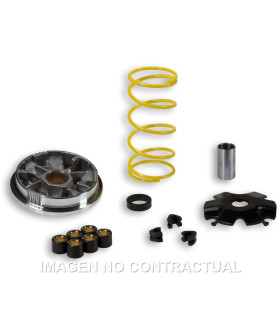 Variador Malossi Multivar Suzuki 50 Adress,Katana,Formula