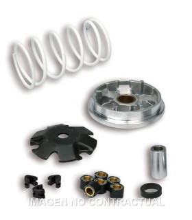 Variador Malossi Multivar Peugeot Buxy Zenith, Speedake