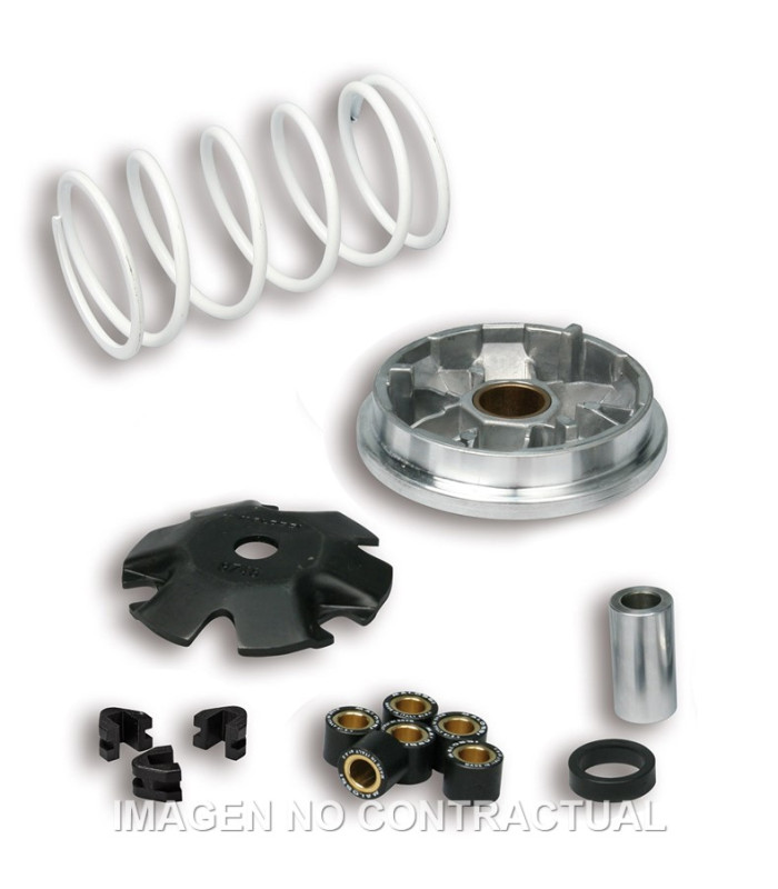 Variador Malossi Multivar Peugeot Buxy Zenith, Speedake