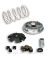 Variador Malossi Multivar Peugeot Buxy Zenith, Speedake