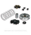 Variador Malossi Multivar Kymco Dink