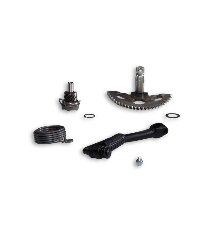 TORNILLERIA Y KIT ARRANQUE MALOSSI CARTER RC