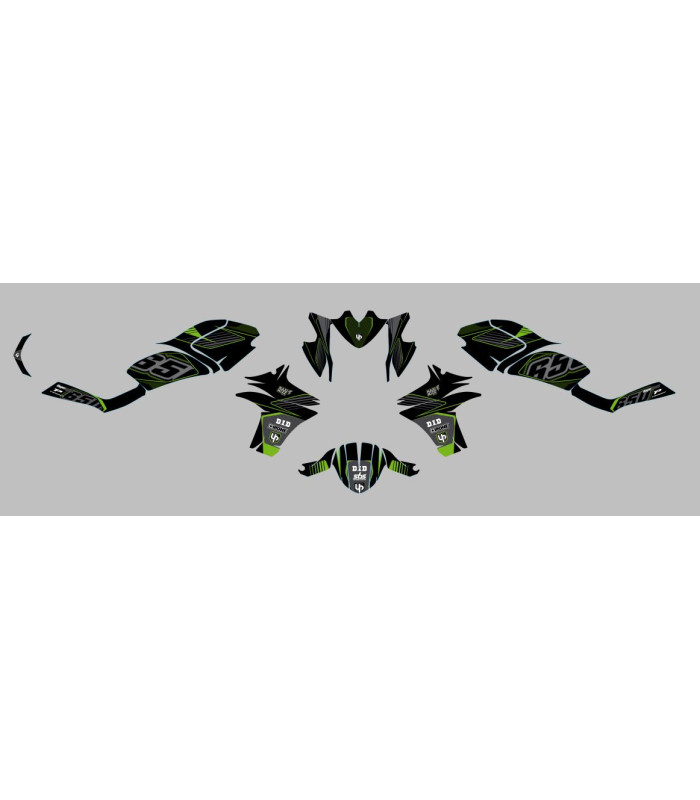 Kit Deco UP Maximize Negro-Verde Kawasaki ER6N