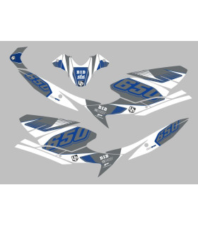 Kit Deco UP Maximize Gris-Blanco Suzuki SV650