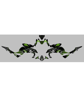 Kit Deco UP Maximize Negro-Verde Kawasaki Z650