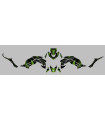 Kit Deco UP Maximize Negro-Verde Kawasaki Z900