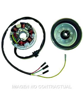 Volante Magnético 6 Polos 12V 100W (Motor Minarelli 50 AM345/AM6 Sin Arranque Eléctrico)