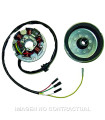 Volante Magnético 6 Polos 12V 100W (Motor Minarelli 50 AM345/AM6 Sin Arranque Eléctrico)