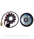 Volante Magnético 12 Polos 12V 120W