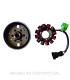 Volante Magnético 12 Polos 12V 120W (Motor Piaggio 50 4T-4V