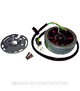 Volante Magnético 6 Polos 12V 85W (Motor Derbi sin arranque eléctrico) Incluye soporte