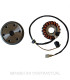 Volante Magnético 18 Polos Trifase 12V 220W (Motor Aprilia Carburador 4T)