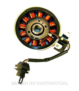 Volante Magnético 12 Polos Trifase 12V 120W (Motor Piaggio 50/100 4T)