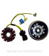 Volante Magnético 12 Polos Trifase 12V 170W (Motor Piaggio