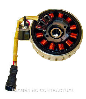 Volante Magnético 12 Polos Trifase 12V 165W (Motor Piaggio 50 2T Inyección