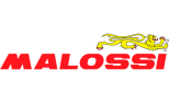 Malossi